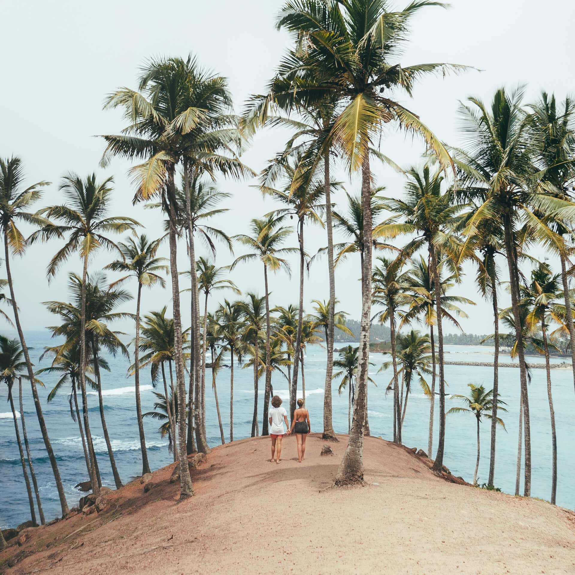 Things To Do Mirissa Sri Lanka coconut tree header