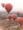 Myanmar Travel Guide Bagan hot air balloons