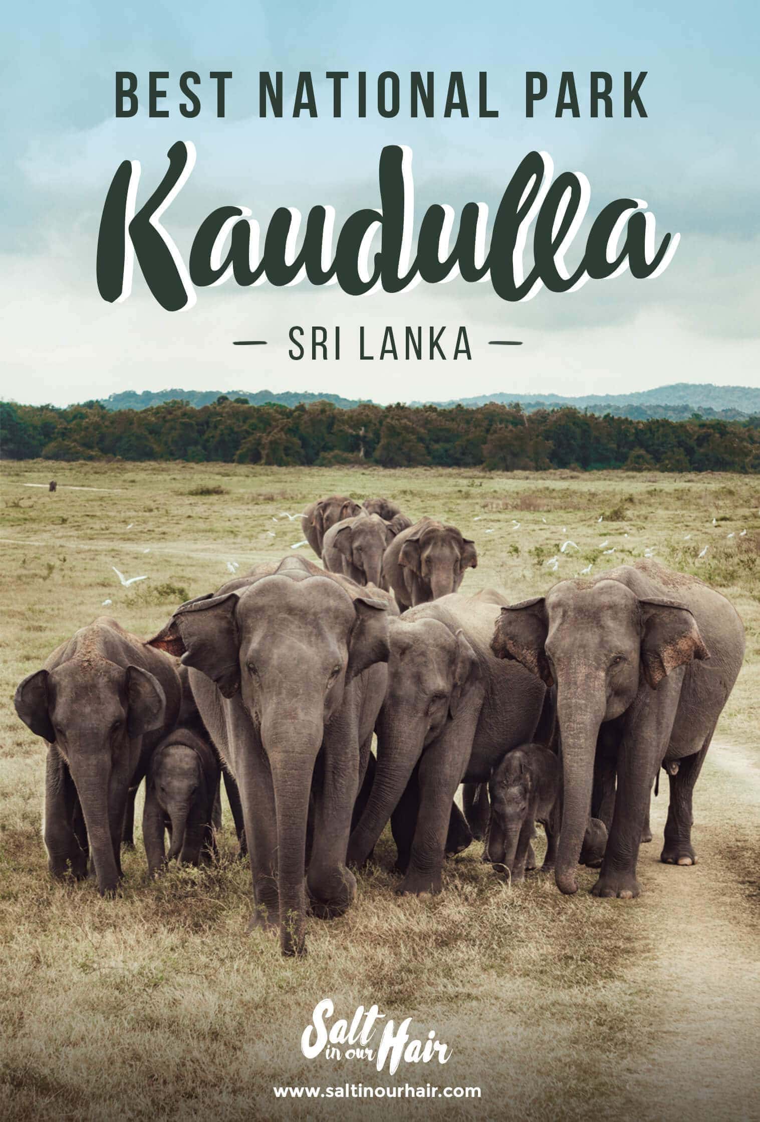 KAUDULLA NATIONAL PARK - Best National Park In Sri Lanka