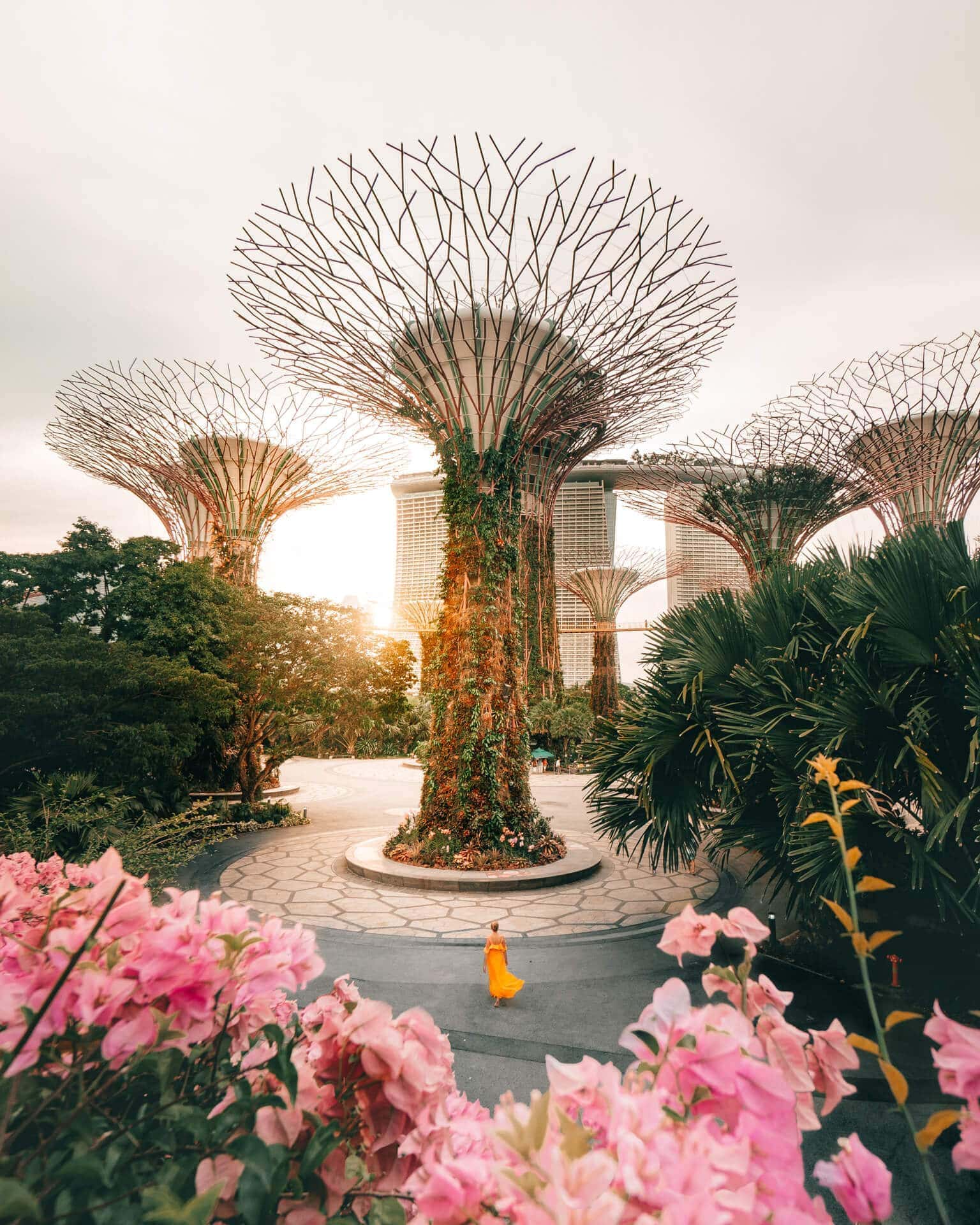 things to do singapore super tree