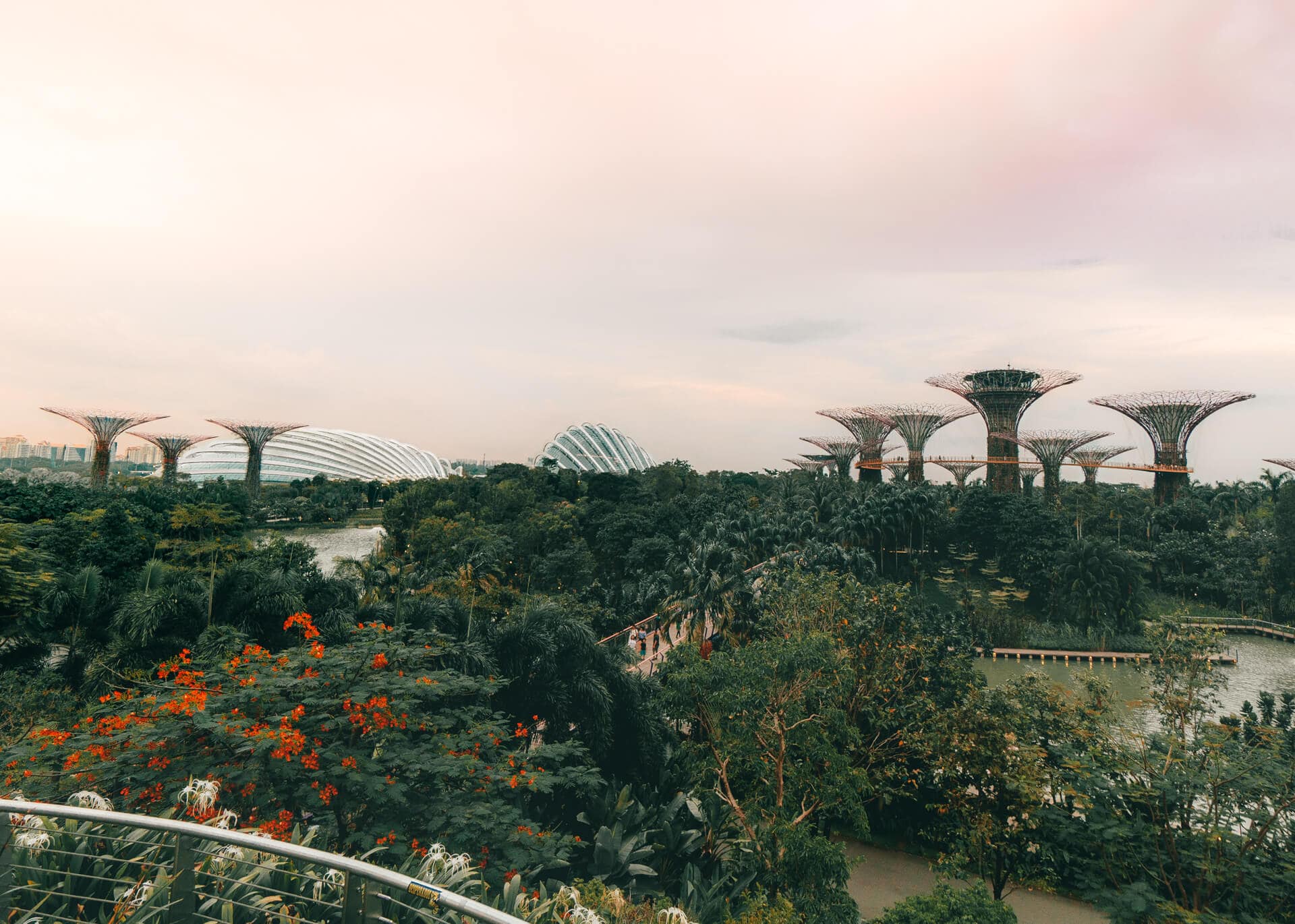 things to do singapore gardens by the bay 