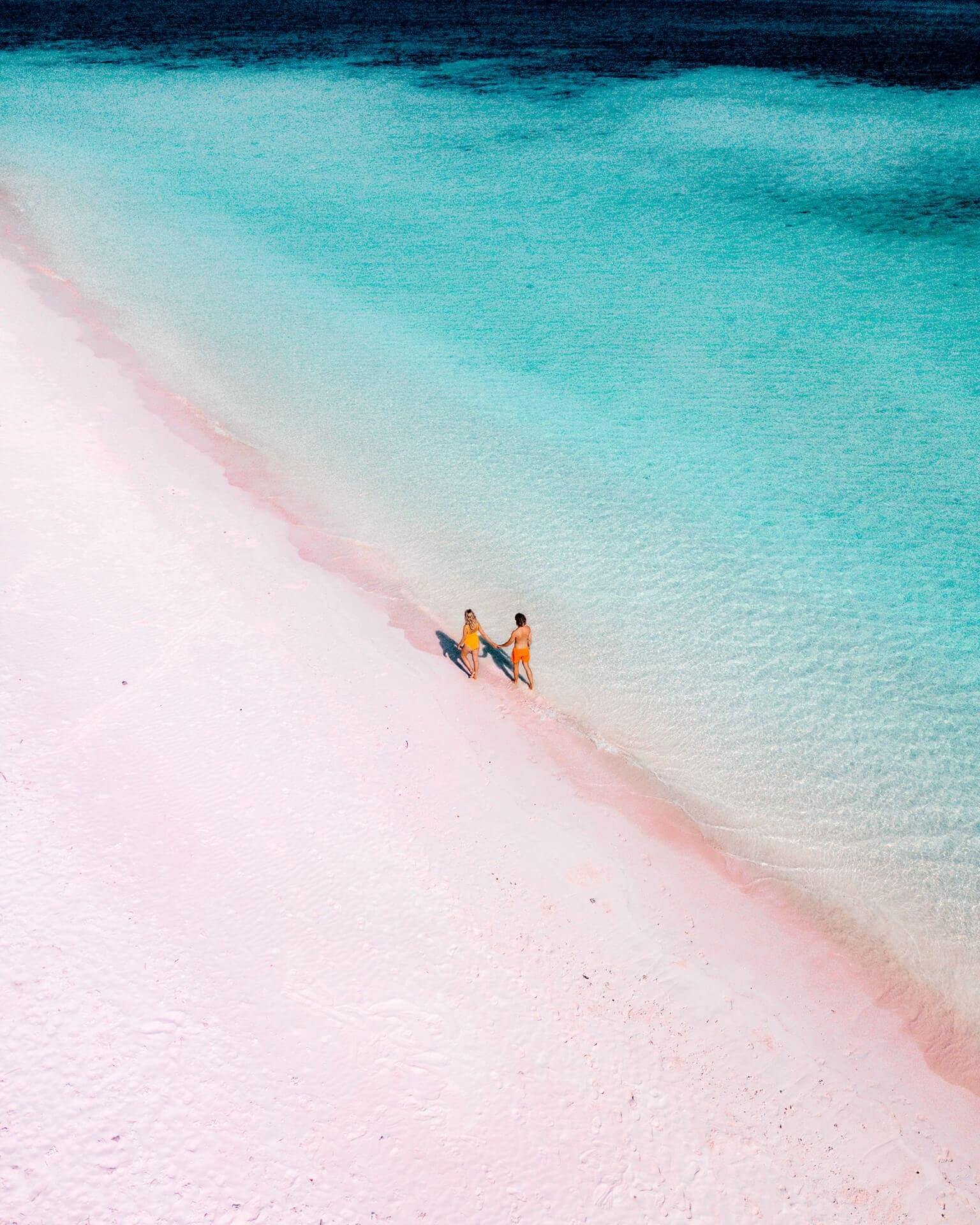 komodo islands flores pink beach
