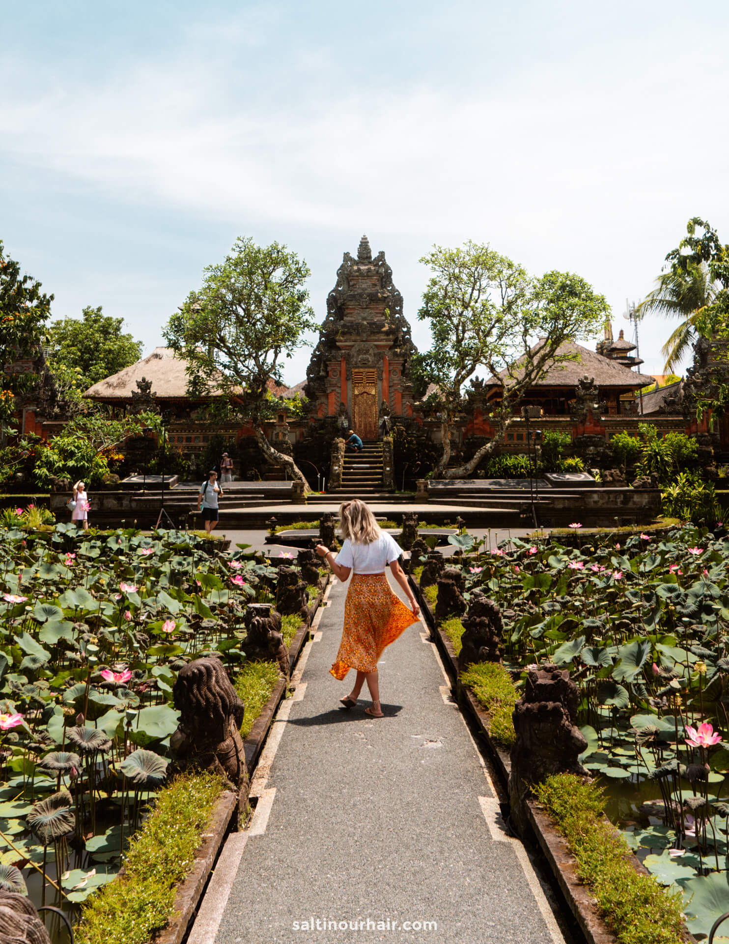 UBUD BALI 14 x Things To Do in Ubud Complete 3Day Guide