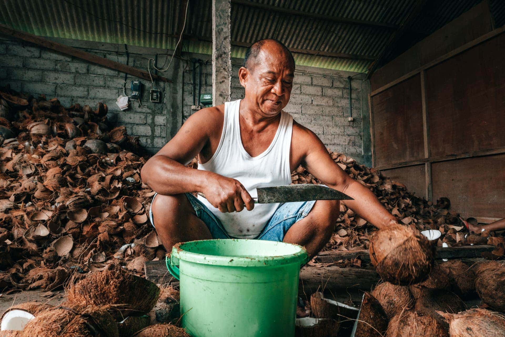 bali stay with locals farm coconuts